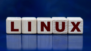 Linux – About Shells, Scripts, and Permissions