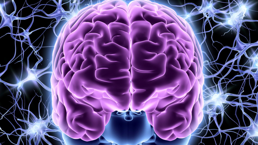 Train Faster, Smarter, Better – On Techniques for Training Neural Network Models