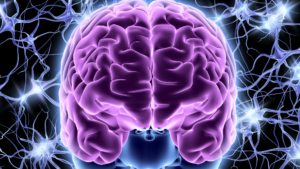 Train Faster, Smarter, Better – On Techniques for Training Neural Network Models
