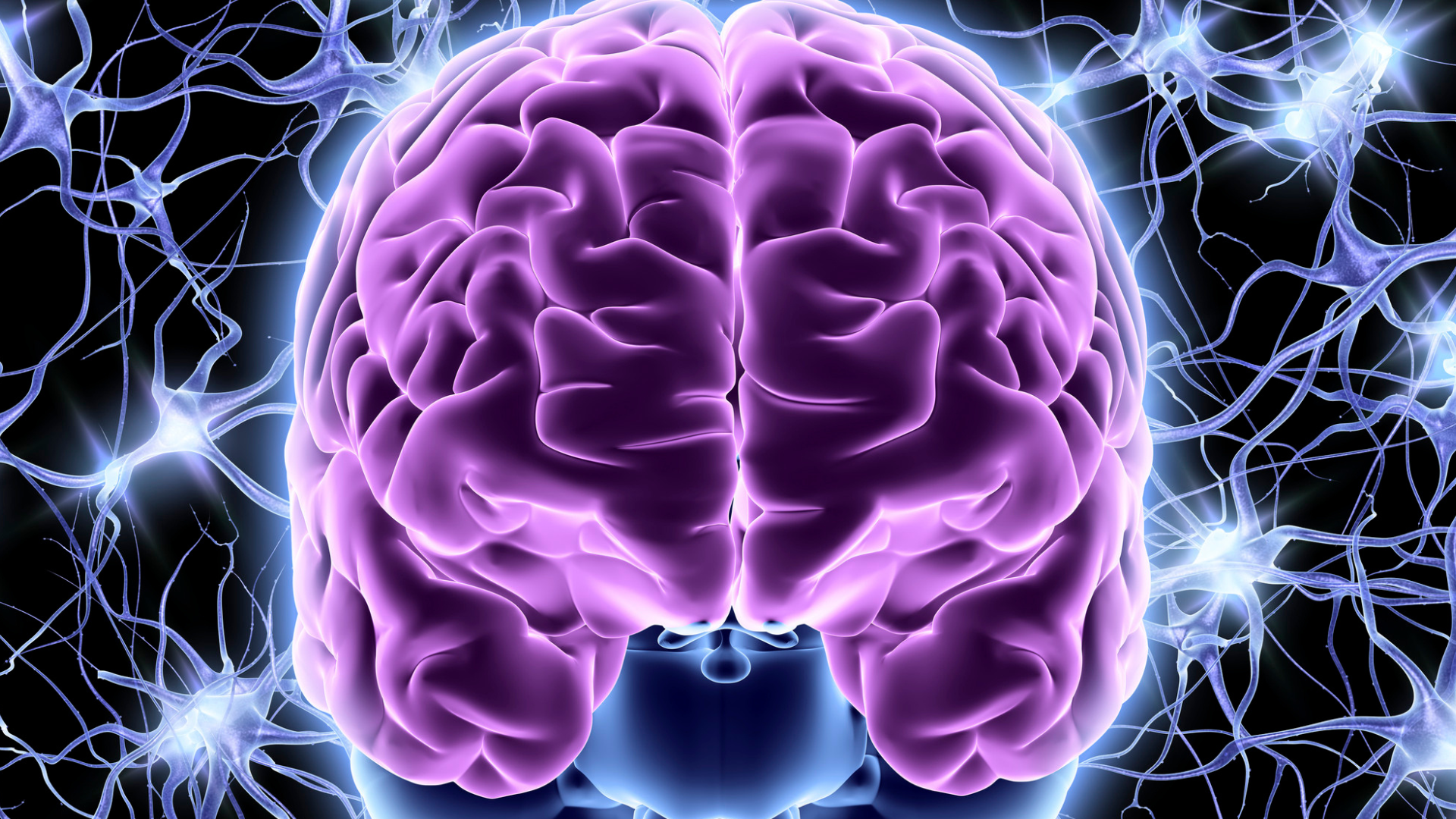 Neural networks training