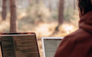Green IT: How Technology Can Support Environmental Protection?